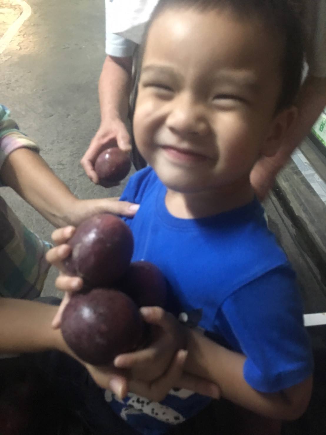 Organic Passionfruit in Chiang Mai